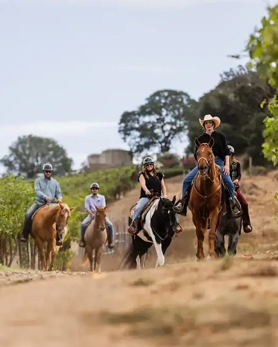 A small group riding a dirt lane between vine rows.